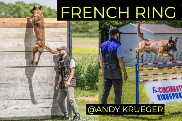 French Ring Dog Sport