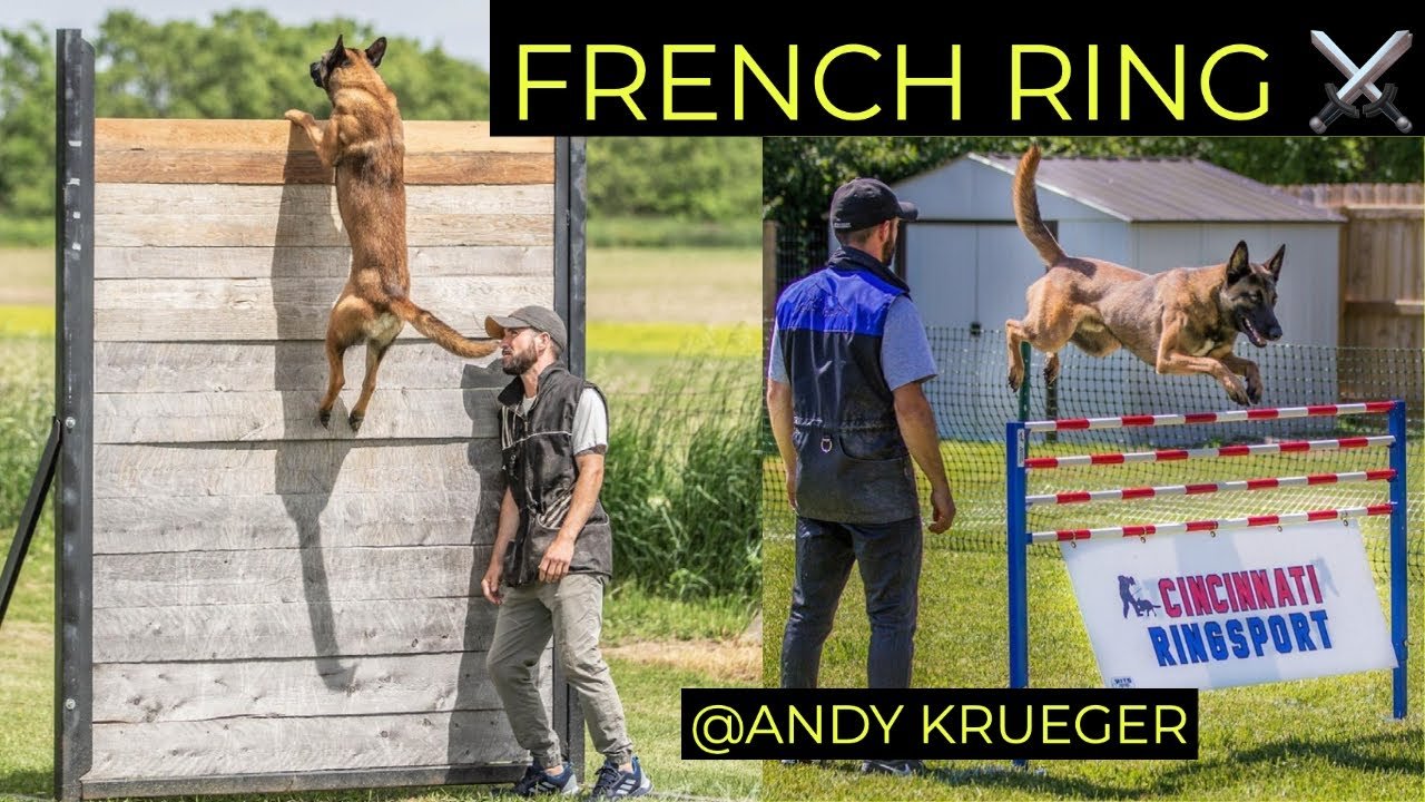 French Ring Dog Sport