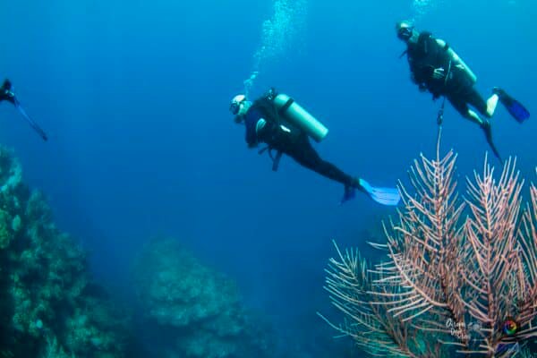 Is Scuba Diving a Sport