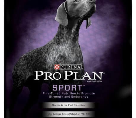 Sport Dog Food